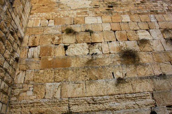 Detailní Záběr Západní Zdi Jeruzalém — Stock fotografie