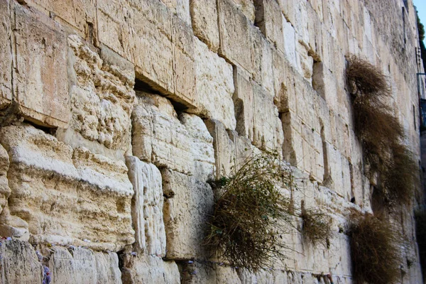 Крупним Планом Західних Стіни Єрусалимі Ізраїлю — стокове фото