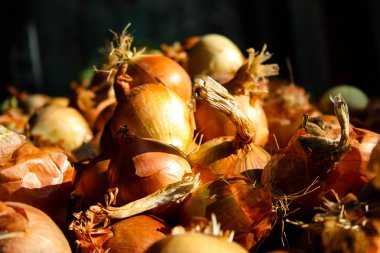 Taze sebze İsrail piyasada satılan closeup  
