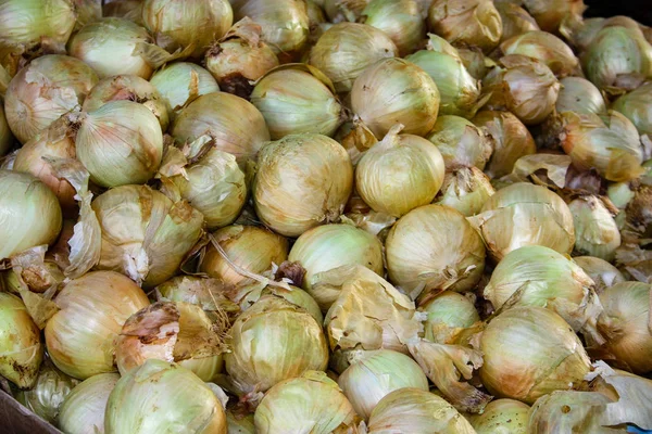 Primer Plano Las Verduras Frescas Vendidas Mercado Israel — Foto de Stock