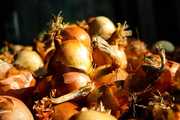 Taze sebze İsrail piyasada satılan closeup  