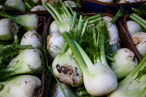 Primer Plano Las Verduras Frescas Vendidas Mercado Israel — Foto de Stock