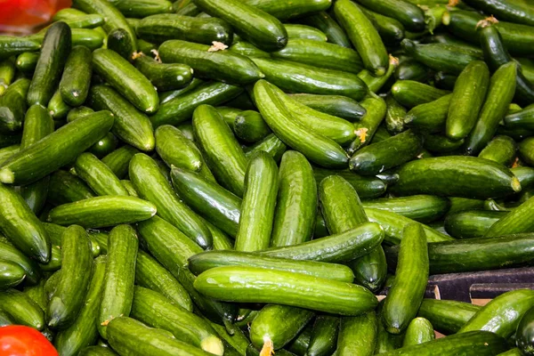 Taze sebze İsrail piyasada satılan closeup  