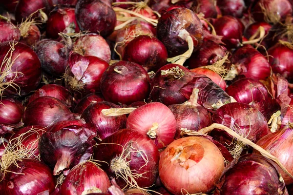 Primer Plano Las Verduras Frescas Vendidas Mercado Israel — Foto de Stock