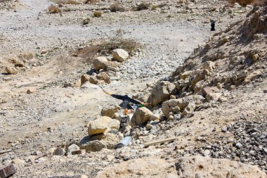 Doğa ve manzara Ölü Deniz'in İsrail       