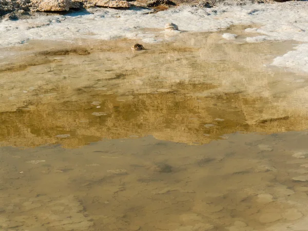 Природа Краєвид Мертвого Моря Ізраїлі — стокове фото