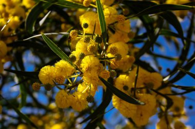  Manzara ve doğa beyaz Valley Kudüs, İsrail Ulusal Trek bir parçası yakınlarında 