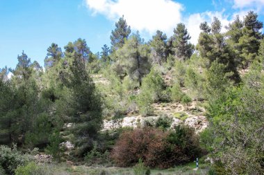 Manzara ve doğa beyaz Valley Kudüs, İsrail Ulusal Trek bir parçası yakınlarında