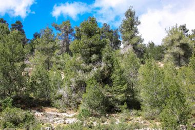 Manzara ve doğa beyaz Valley Kudüs, İsrail Ulusal Trek bir parçası yakınlarında