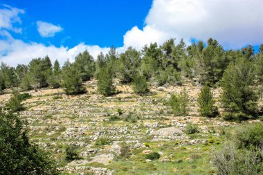 Manzara ve doğa beyaz Valley Kudüs, İsrail Ulusal Trek bir parçası yakınlarında
