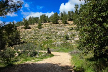 Manzara ve doğa beyaz Valley Kudüs, İsrail Ulusal Trek bir parçası yakınlarında