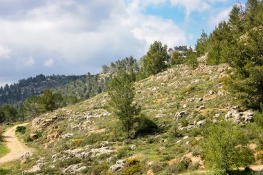 Manzara ve doğa beyaz Valley Kudüs, İsrail Ulusal Trek bir parçası yakınlarında