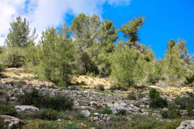 Manzara ve doğa beyaz Valley Kudüs, İsrail Ulusal Trek bir parçası yakınlarında