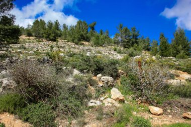Manzara ve doğa beyaz Valley Kudüs, İsrail Ulusal Trek bir parçası yakınlarında