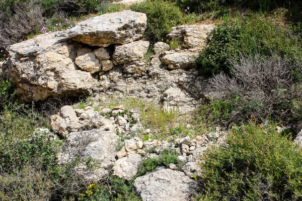 Landschap Natuur Vallei Van Wit Buurt Van Jeruzalem Deel Van — Stockfoto