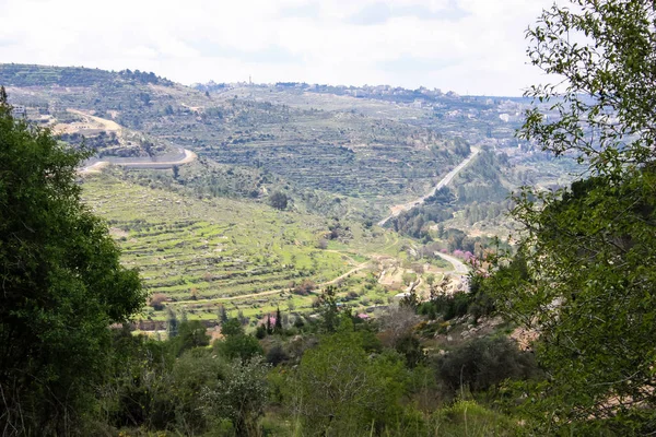 Paesaggio Natura Nella Valle Bianca Vicino Gerusalemme Parte Del Trekking — Foto Stock