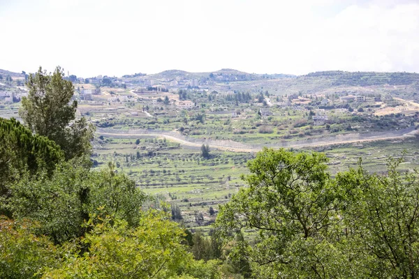 Пейзаж Природа Белой Долине Недалеко Иерусалима Часть Израильского Национального Трека — стоковое фото