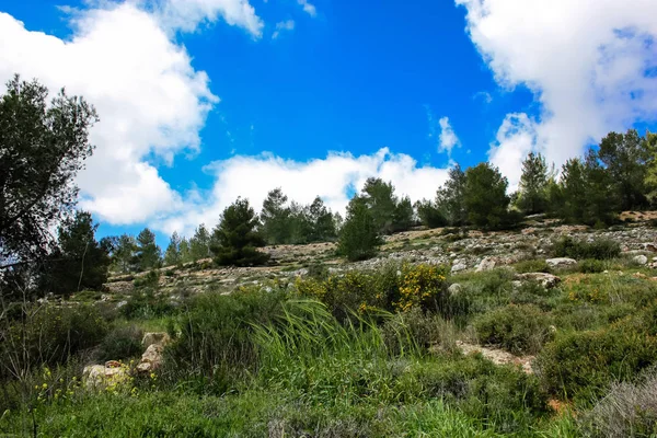 Paisagem Natureza Vale Branco Perto Jerusalém Parte Caminhada Nacional Israelense — Fotografia de Stock