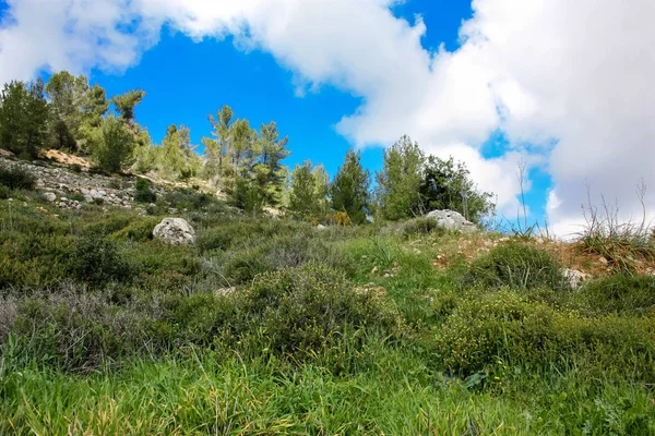 Manzara Doğa Beyaz Valley Kudüs Srail Ulusal Trek Bir Parçası — Stok fotoğraf