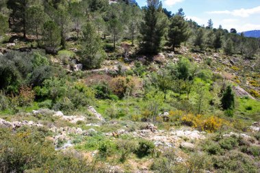 Manzara ve doğa beyaz Valley Kudüs, İsrail Ulusal Trek bir parçası yakınlarında