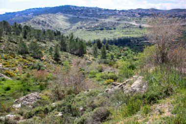 Manzara ve doğa beyaz Valley Kudüs, İsrail Ulusal Trek bir parçası yakınlarında