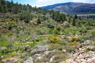 Manzara ve doğa beyaz Valley Kudüs, İsrail Ulusal Trek bir parçası yakınlarında