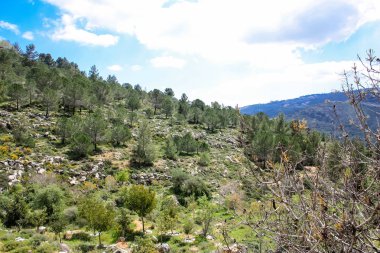 Manzara ve doğa beyaz Valley Kudüs, İsrail Ulusal Trek bir parçası yakınlarında