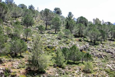 Manzara ve doğa beyaz Valley Kudüs, İsrail Ulusal Trek bir parçası yakınlarında