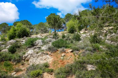 Manzara ve doğa beyaz Valley Kudüs, İsrail Ulusal Trek bir parçası yakınlarında