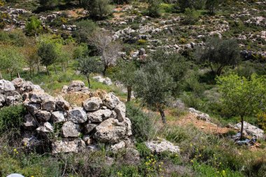 Manzara ve doğa beyaz Valley Kudüs, İsrail Ulusal Trek bir parçası yakınlarında