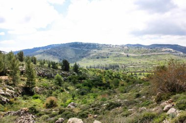 Manzara ve doğa beyaz Valley Kudüs, İsrail Ulusal Trek bir parçası yakınlarında