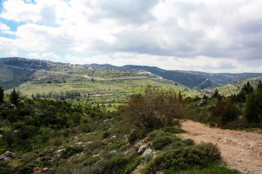 Manzara ve doğa beyaz Valley Kudüs, İsrail Ulusal Trek bir parçası yakınlarında