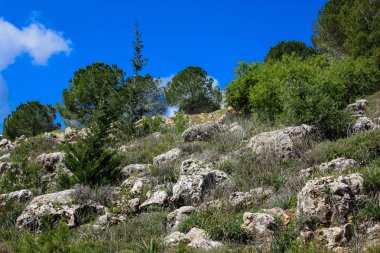 Manzara ve doğa beyaz Valley Kudüs, İsrail Ulusal Trek bir parçası yakınlarında