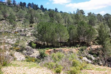 Manzara ve doğa beyaz Valley Kudüs, İsrail Ulusal Trek bir parçası yakınlarında