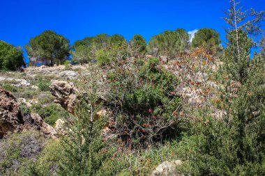 Manzara ve doğa beyaz Valley Kudüs, İsrail Ulusal Trek bir parçası yakınlarında