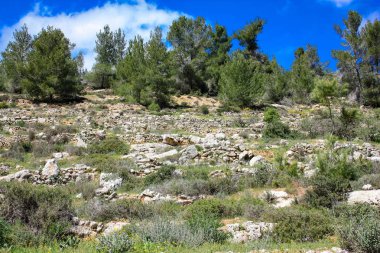Manzara ve doğa beyaz Valley Kudüs, İsrail Ulusal Trek bir parçası yakınlarında