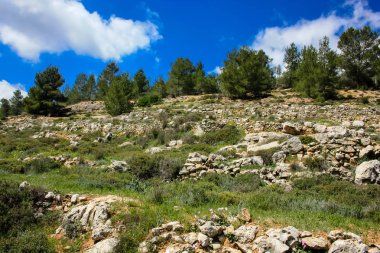 Manzara ve doğa beyaz Valley Kudüs, İsrail Ulusal Trek bir parçası yakınlarında