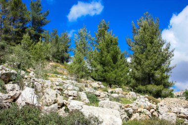 Manzara ve doğa beyaz Valley Kudüs, İsrail Ulusal Trek bir parçası yakınlarında