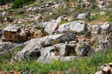 Manzara ve doğa beyaz Valley Kudüs, İsrail Ulusal Trek bir parçası yakınlarında