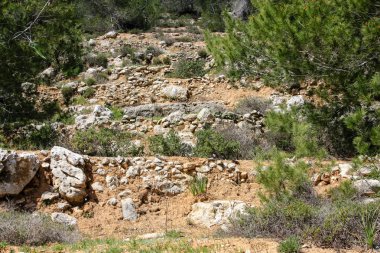 Manzara ve doğa beyaz Valley Kudüs, İsrail Ulusal Trek bir parçası yakınlarında