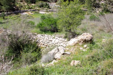 Manzara ve doğa beyaz Valley Kudüs, İsrail Ulusal Trek bir parçası yakınlarında