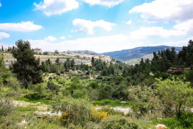  Manzara ve doğa beyaz Valley Kudüs, İsrail Ulusal Trek bir parçası yakınlarında 
