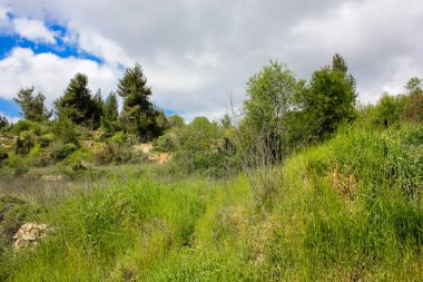  Manzara ve doğa beyaz Valley Kudüs, İsrail Ulusal Trek bir parçası yakınlarında 