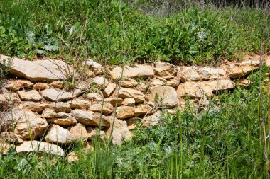  Manzara ve doğa beyaz Valley Kudüs, İsrail Ulusal Trek bir parçası yakınlarında 