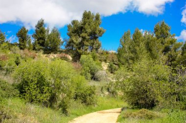  Manzara ve doğa beyaz Valley Kudüs, İsrail Ulusal Trek bir parçası yakınlarında 