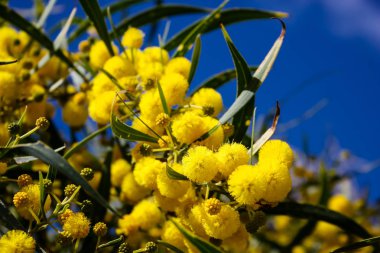  Manzara ve doğa beyaz Valley Kudüs, İsrail Ulusal Trek bir parçası yakınlarında 