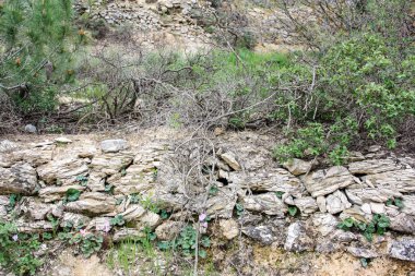  Manzara ve doğa beyaz Valley Kudüs, İsrail Ulusal Trek bir parçası yakınlarında 