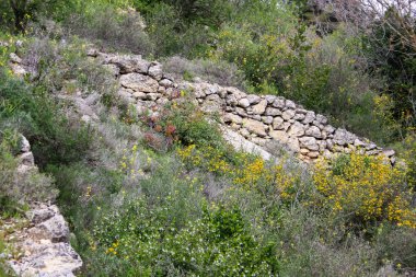  Manzara ve doğa beyaz Valley Kudüs, İsrail Ulusal Trek bir parçası yakınlarında 