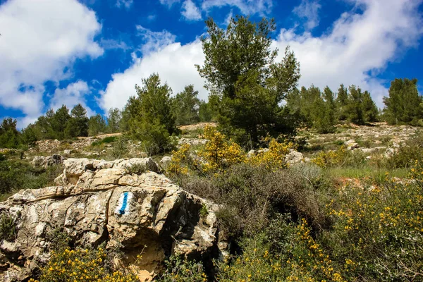 Landschap Natuur Vallei Van Wit Buurt Van Jeruzalem Deel Van — Stockfoto