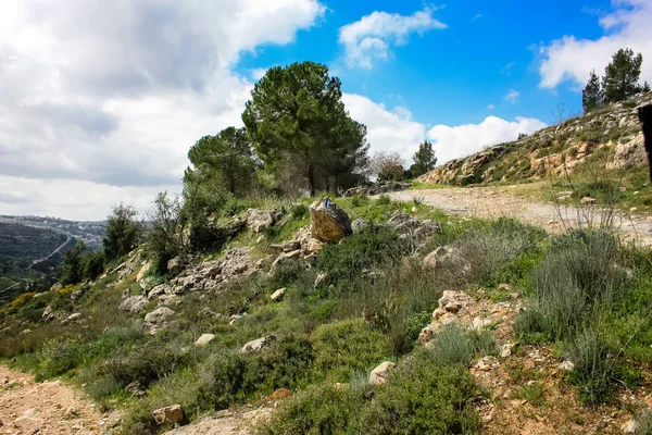 在耶路撒冷附近的白色山谷的景观和自然 以色列国家跋涉的一部分 — 图库照片